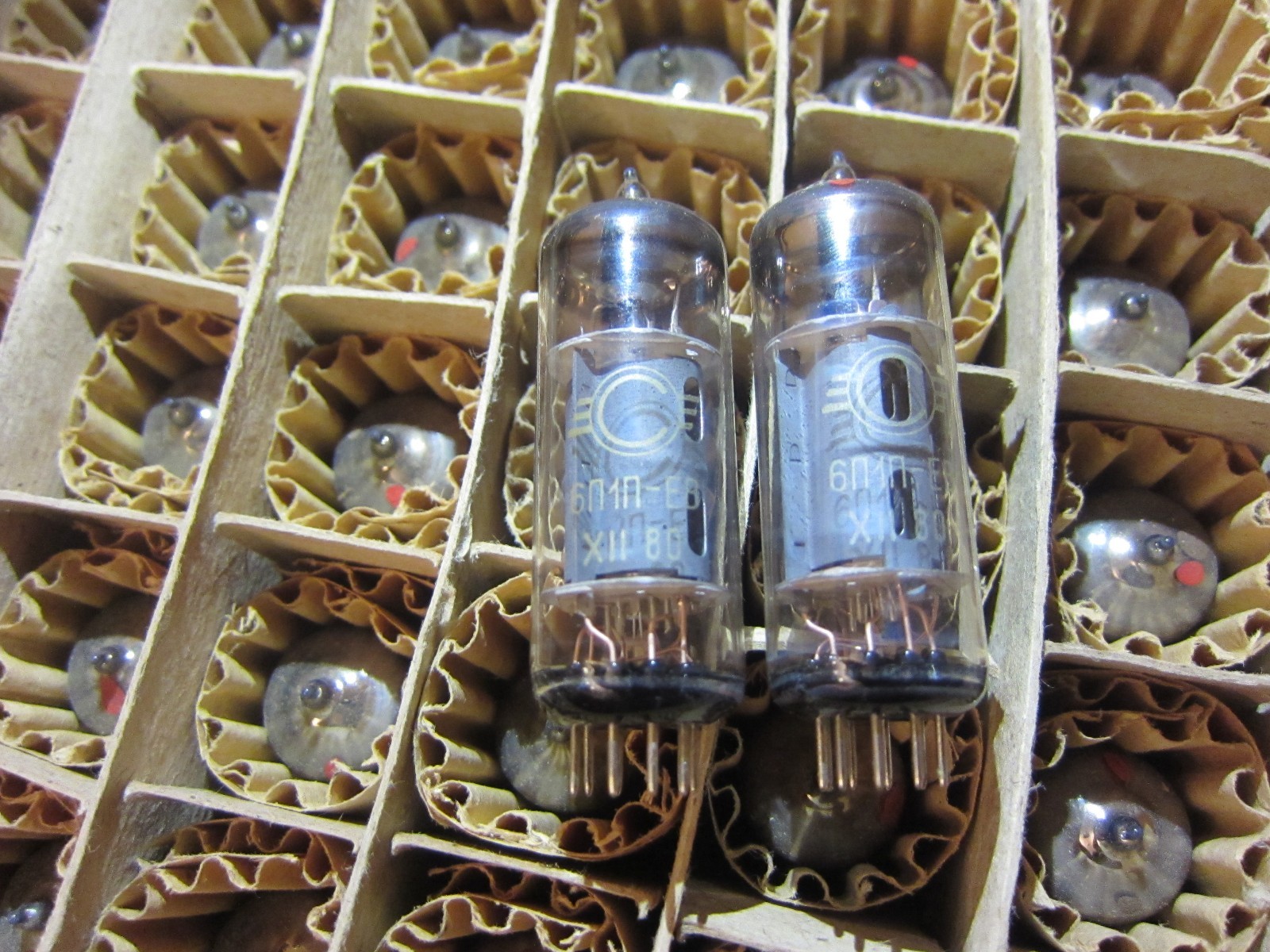 2x 6P1P-EV / ~6AQ5 / ~EL90 Svetlana USSR Output Tetrode (NEW, SAME YEAR, BOXED)