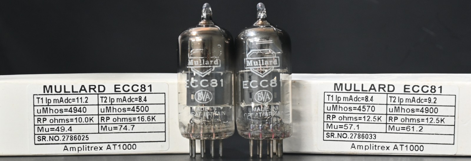 ECC81 MULLARD “D” Getter Made in Great Britain Amplitrex Tested Qty 2 Pcs
